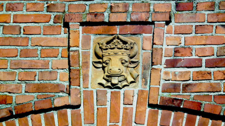 Ochsenkopf für Mecklenburg
