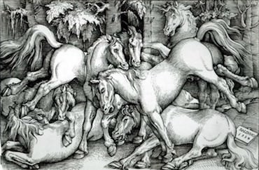 Hans Baldung Grien, Kämpfende Hengste, 1534