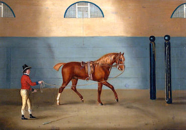 Longieren mit Ausbinder