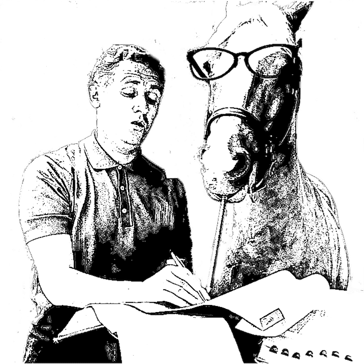 Das Pferd als Coach